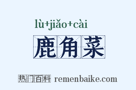 鹿角菜是什么意思的图片